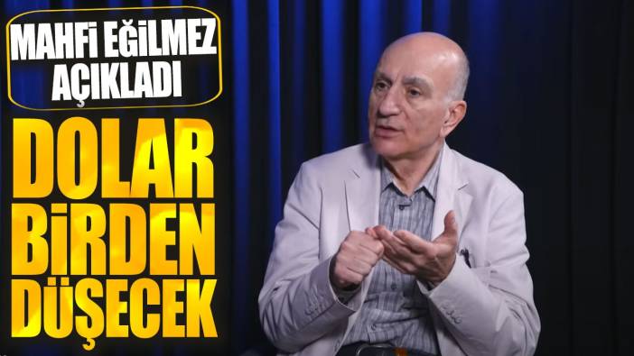 Mahfi Eğilmez: Dolar birden düşecek