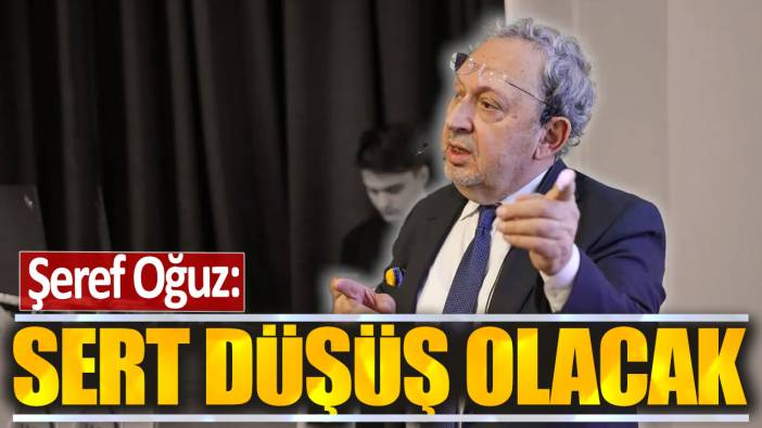 Şeref Oğuz: Sert düşüş olacak