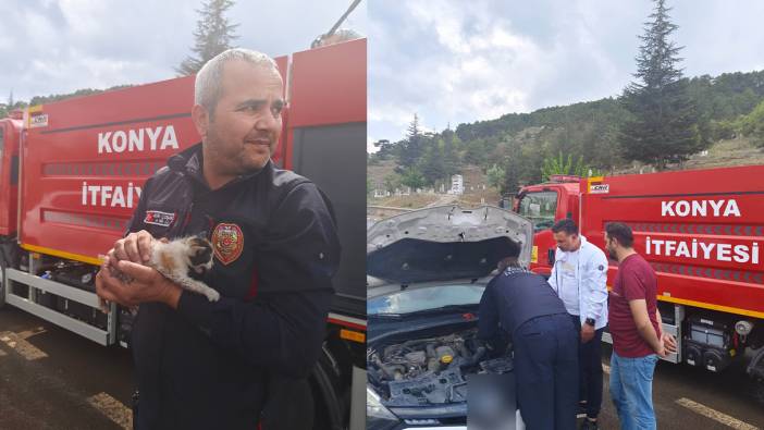 Konya’da otomobilin motoruna sıkışan kedi kurtarıldı