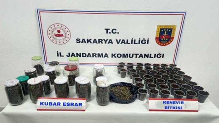 Sakarya’da uyuşturucu ve kaçakçılık operasyonları başlatıldı