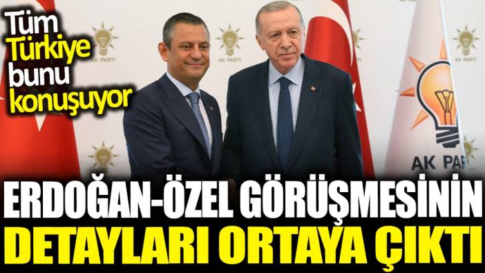 Erdoğan-Özel görüşmesinin detayları ortaya çıktı: Tüm Türkiye bunu konuşuyor