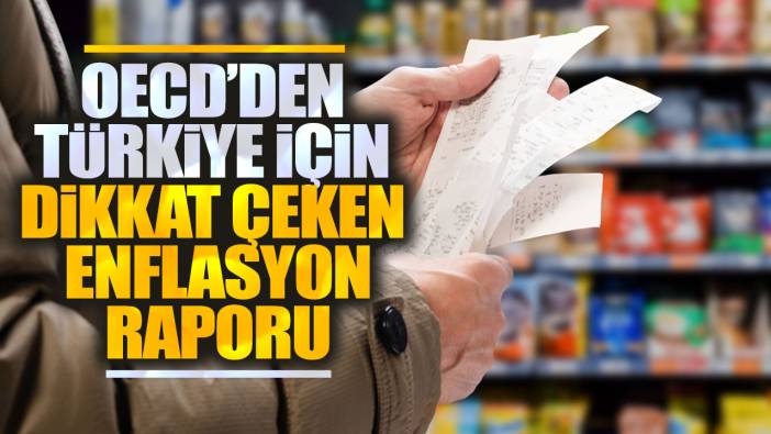 OECD'den Türkiye için dikkat çeken enflasyon raporu