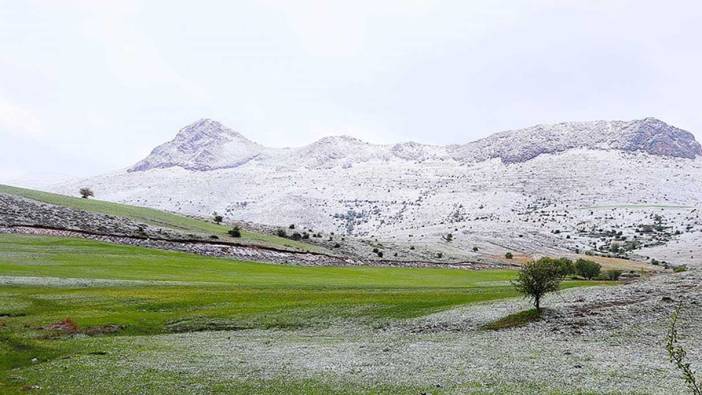 Bu 3 il mayıs ayında karı gördü