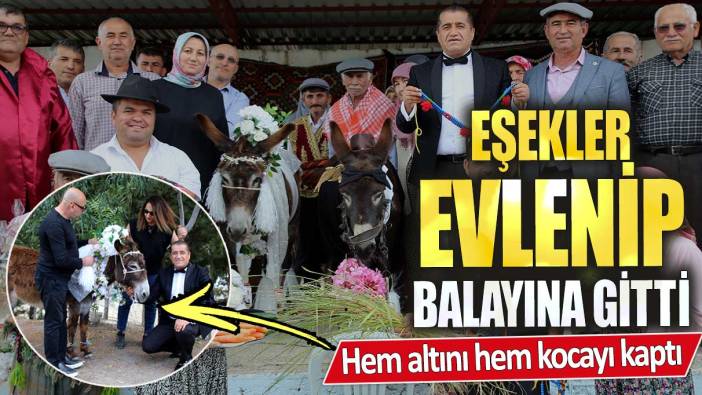 Eşekler evlenip balayına gitti! Hem altını hem kocayı kaptı