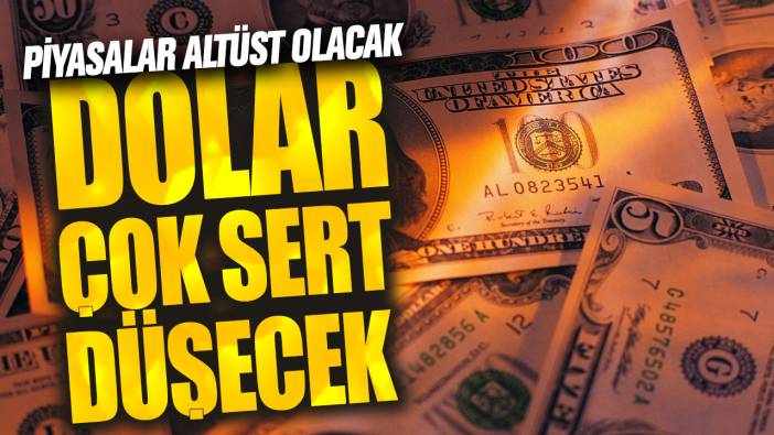 Dolar çok sert düşecek