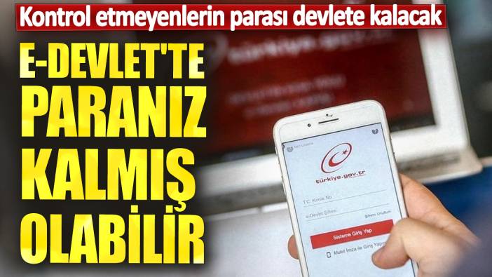 e-Devlet'te paranız kalmış olabilir!  Kontrol etmeyenlerin parası devlete kalacak