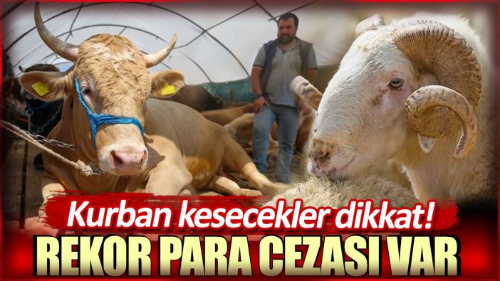 Rekor para cezası var: Kurban kesecekler dikkat!