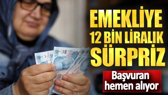 Emekliye 12 bin liralık sürpriz! Başvuran hemen alıyor