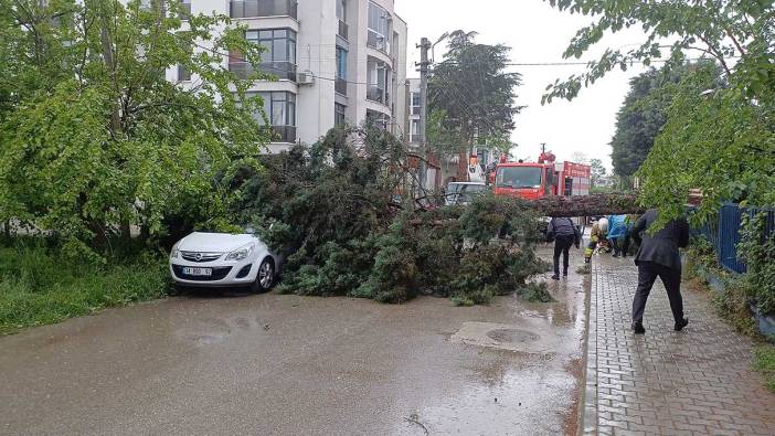 Düzce’yi fırtına vurdu! Araçlar ağaç altında kaldı