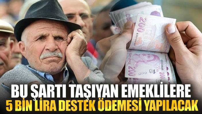 Bu şartı taşıyan emeklilere 5 bin lira destek ödemesi yapılacak