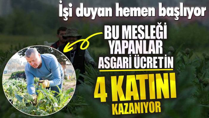 Bu mesleği yapanlar asgari ücretin 4 katını kazanıyor!