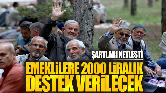 Emeklilere 2000 liralık destek verilecek: Şartları netleşti