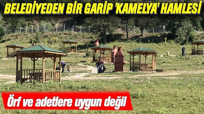 Belediyeden 'kamelya' hamlesi! 20 kamelya kaldırıldı