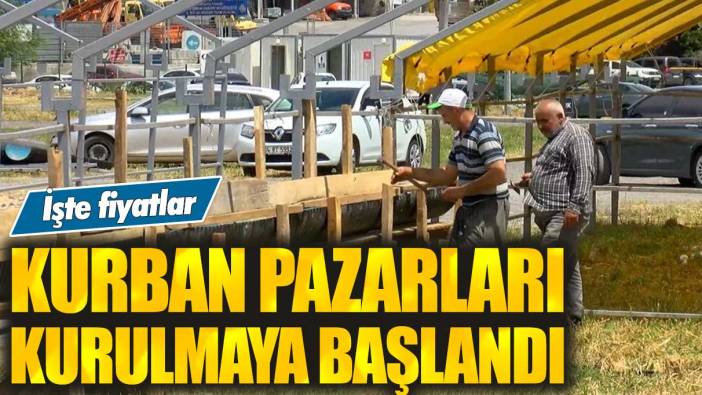 İstanbul’da kurban pazarları kurulmaya başlandı