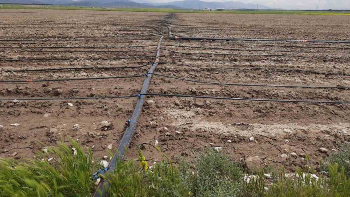 Niğde’de üreticiler hibe desteği sağlanacak