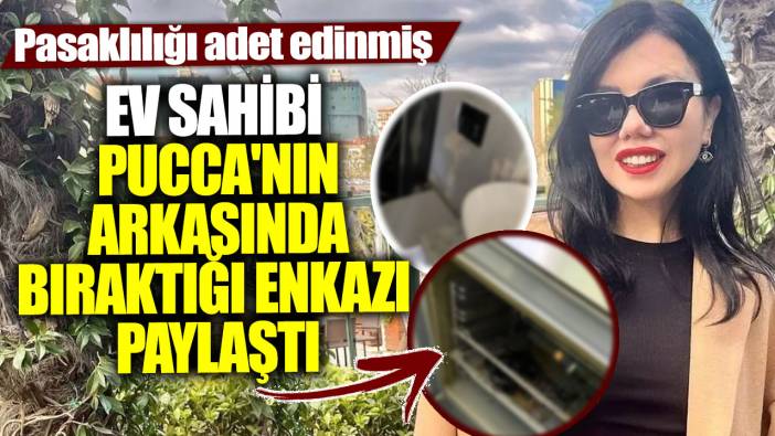 Ev sahibi Pucca'nın arkasında bıraktığı enkazı paylaştı! Pasaklılığı adet edinmiş
