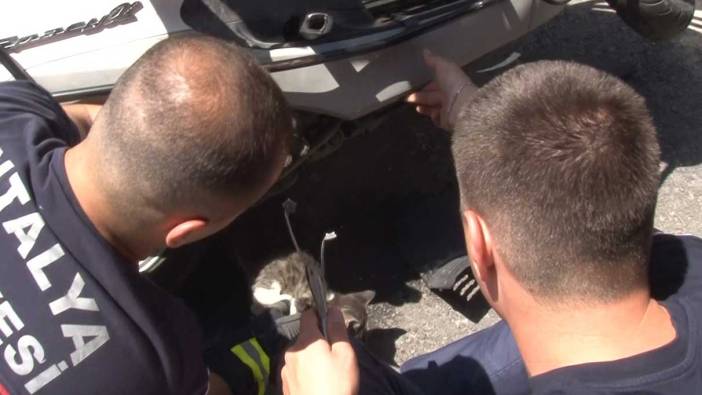 Motora sıkışan yaramaz kedi 15 dakikada kurtarıldı