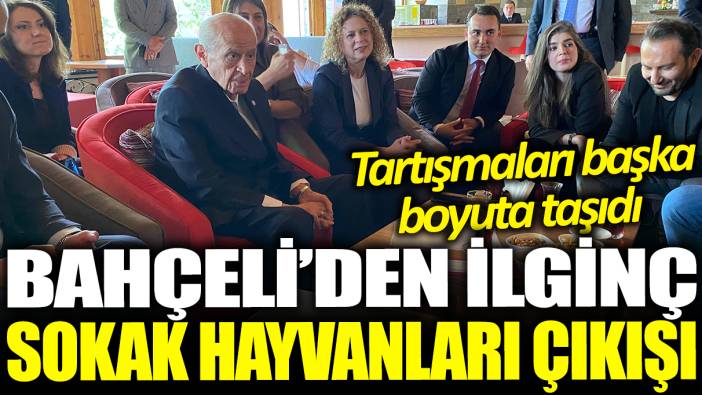 Devlet Bahçeli'den ilginç sokak hayvanları çıkışı: Tartışmaları başka boyuta çıkardı