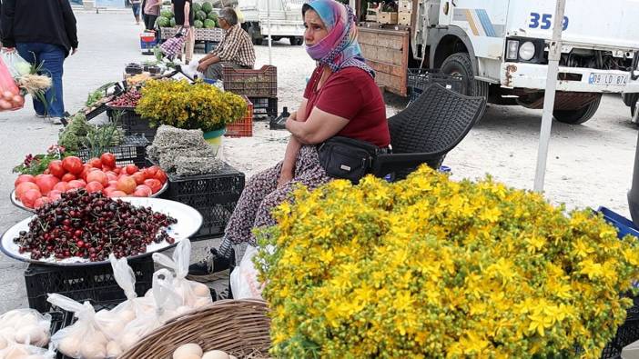 Tüm zamanların en şifalı bitkisi