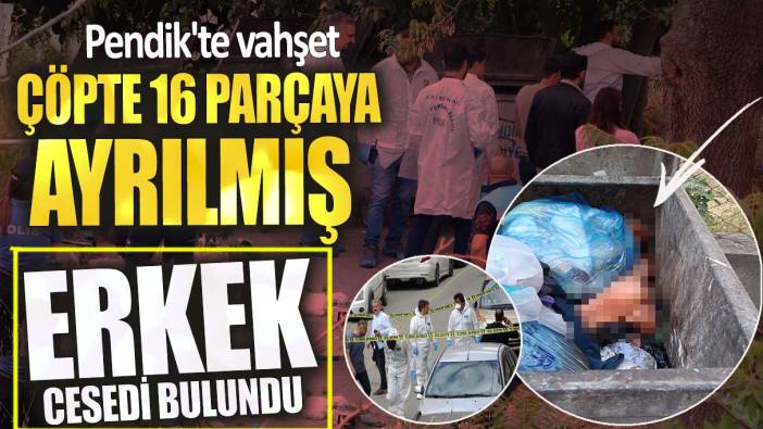 Pendik'te vahşet! Çöpte 16 parçaya ayrılmış ceset bulundu