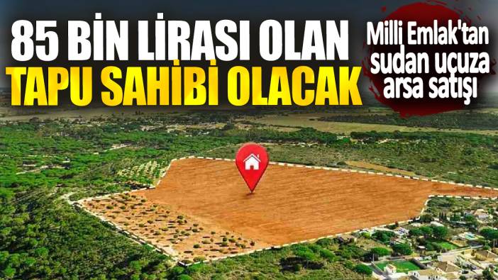 Milli Emlak'tan sudan ucuza arsa satışı! 85 bin lirası olan tapu sahibi olacak