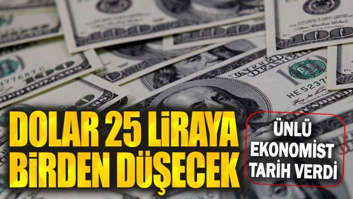 Dolar 25 liraya birden düşecek: Ünlü ekonomist tarih verdi