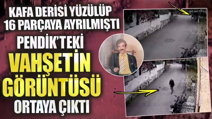 Pendik’teki vahşetin görüntüsü ortaya çıktı! Kafa derisi yüzülüp 16 parçaya ayrılmıştı