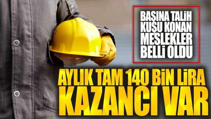 Aylık tam 140 bin lira kazancı var: Başına talih kuşu konan meslekler belli oldu