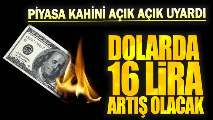 Dolarda 16 lira artış olacak: Piyasa kahini açık açık uyardı