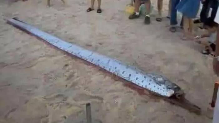 Kıyamet balığı kıyıya vurdu! Halkta büyük endişe yarattı...