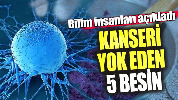 Kanseri yok eden 5 besin! Bilim insanları açıkladı