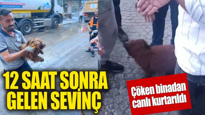 12 saat sonra enkazdan sağ kurtarıldı