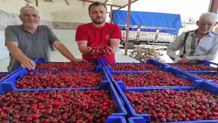 Selendili kiraz üreticileri umduğunu bulamadı