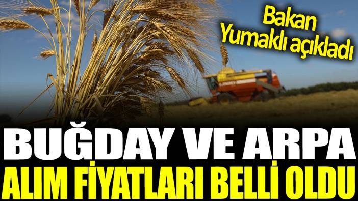 Buğday ve arpa alım fiyatları belli oldu