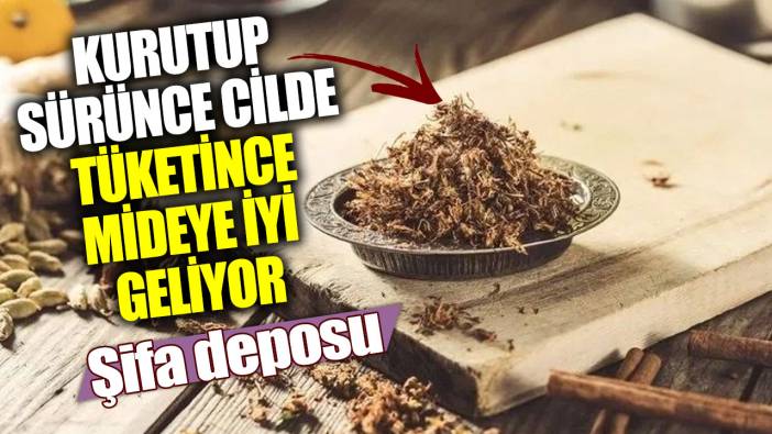 Kurutup sürünce cilde tüketince mideye iyi geliyor! Şifa deposu