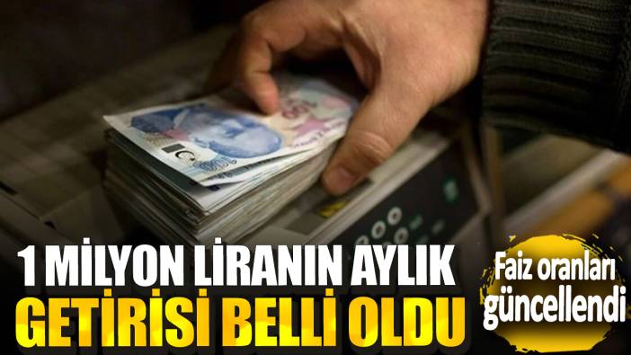 1 milyon liranın aylık getirisi belli oldu! Faiz oranları güncellendi