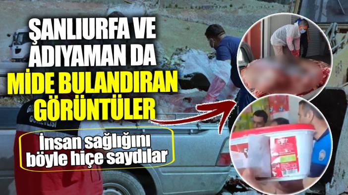 Şanlıurfa ve Adıyaman'da mide bulandıran görüntüler! İnsan sağlığını böyle hiçe saydılar