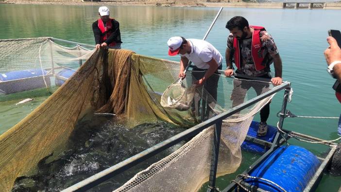 Proje kapsamında 25,5 ton balık üretimi yapıldı