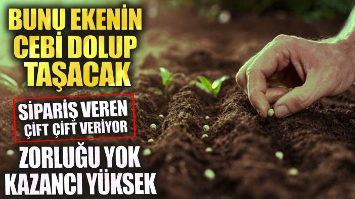 Bunu ekenin cebi dolup taşacak! Sipariş veren çift çift veriyor! Zorluğu yok, kazancı yüksek