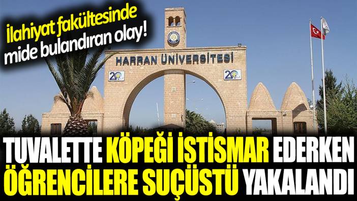 İlahiyat Fakültesi'nde mide bulandıran olay! Tuvalette köpeği istismar ederken öğrencilere suçüstü yakalandı