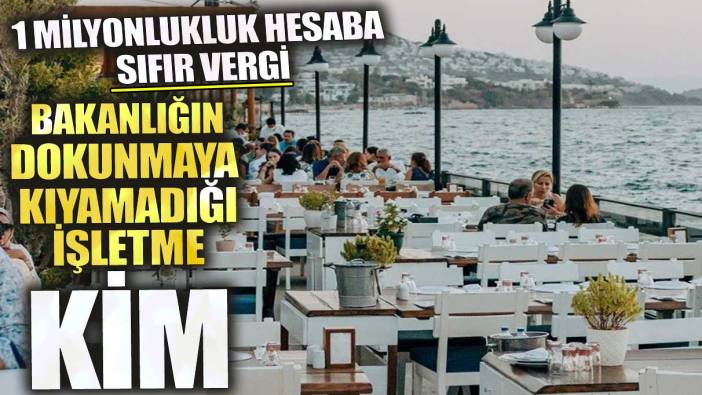 1 milyonluk hesaba sıfır vergi! Bakanlığın dokunmaya kıyamadığı işletme kim?