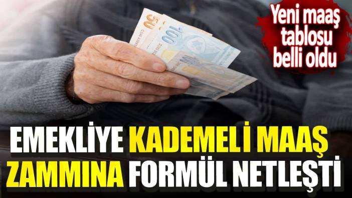 Emekliye kademeli maaş zammına formül netleşti! Yeni maaş tablosu belli oldu