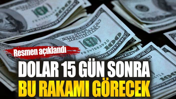 Dolar 15 gün sonra bu rakamı görecek