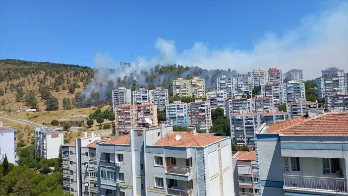 İzmir'de orman yangını!