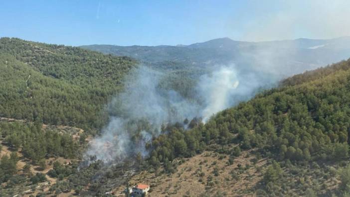 Muğla'nın Milas ilçesinde orman yangını