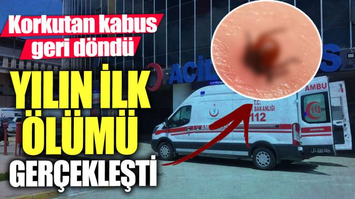 Korkutan kabus geri döndü! Yılın ilk ölümü gerçekleşti