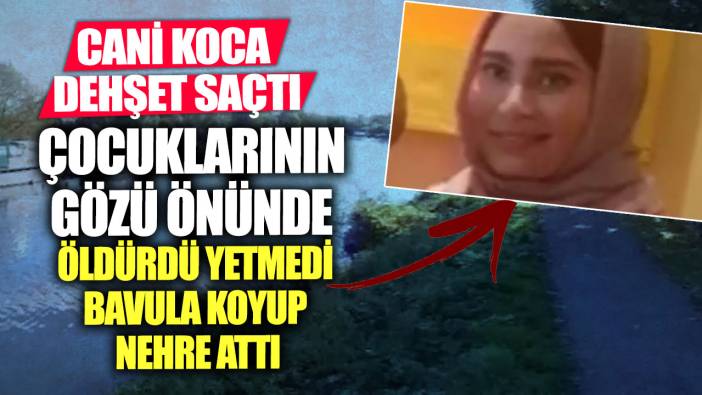 Cani koca dehşet saçtı! Boğarak öldürdü yetmedi bavula koyup nehre attı