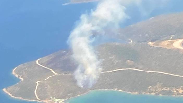 İzmir'in Urla ilçesinde makilik alanda çıkan yangın kontrol altında