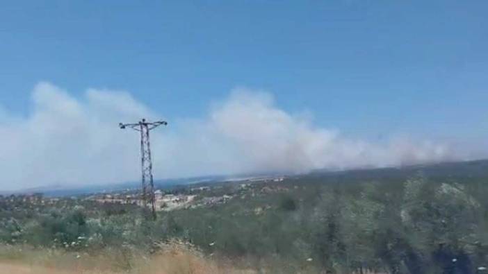 Çanakkale'de bir orman yangını daha