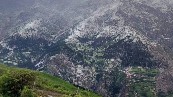 Artvin'de dolu yağışı tarım alanlarına zarar verdi